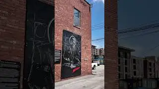 Beautiful Paintings in Broad Ripple 🎨📸 #4kwalkingtour #4kwalkingvideo #broadripple #artwork