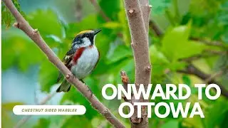 Harvest Host Stop Onto Ottowa Ontario