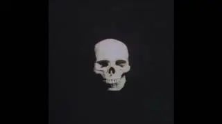 PLAYA MANE - FUCK FIVE-O