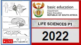 2022 paper 1,  life sciences, grade 12, m.saidi