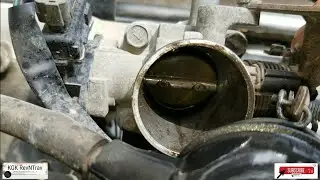 Santro Throttle Body Cleaning | DIY | Santro Idling problem
