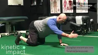 Bird Dog - Arm Extension