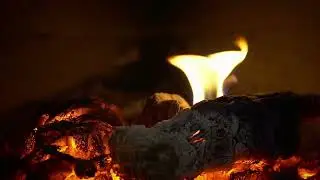 48-Minute Cozy Fireplace with Warm Piano | Relaxing Background Music