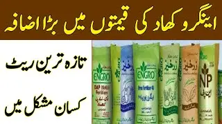 Engro Fertilizers Rates 2022 |Today Engro DAP Rates |Today Fertilizer Prices |DAP khad