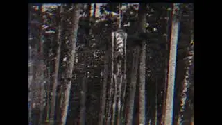 First photo (Siren Head Analog Horror)
