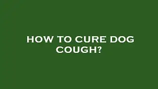 How to cure dog cough?