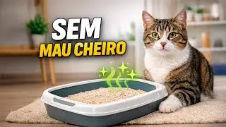 Chega de Cheiro na Caixa do Seu Gato.