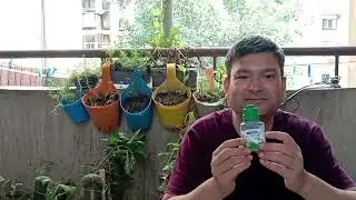 seaweed Biostimulant बायोस्टिमुलेंट् Seaweed Ascophyllum nodosum (a marine pl) extract BIOSTIMULANT