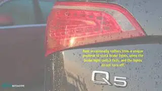What is the Electrical Problems Found in an Audi