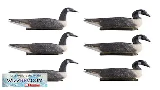 VEVOR Canadian Goose Decoy  6 Pack 3.53 lbs Weighing