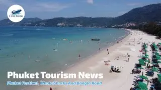 Phuket Tourism News, Whale Sharks, Phuket Festival, Patong Beach and Phuket Events | PTN Feb 5th '23