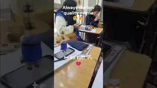 Flying minion ahh | #shorts #memes #foryou #fyp
