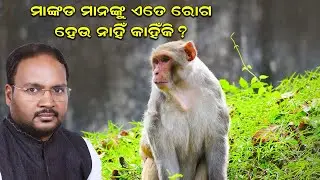 ମାଙ୍କଡ ମାନଙ୍କୁ ଏତେ ରୋଗ ହେଉ ନାହିଁ କାହିଁକି ll Ayurveda Guru Aditya Padhi ll