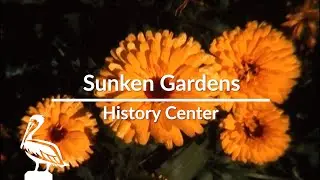 Sunken Gardens History Center | St. Pete, FL