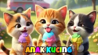 Anak Kucing Meong Meong ~ Lagu Anak Lucu 