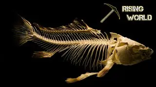 Fishbones and trout! 🎣 (Rising World fishing UPDATE)