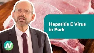 Hepatitis E Virus in Pork