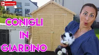 Casa per Conigli | Conigli in Giardino  #conigli #casa #giardino