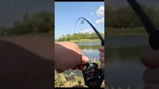 MACH SKOOLER catches SPAWNING BASS!! #shorts #fishing