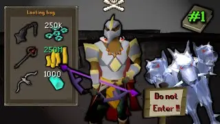 I WILL COLLECT EVERY ITEM IN OSRS #1