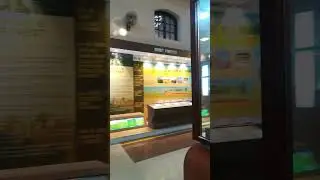 Forest Research  Fri Dehradun museum😊👌💯 #fridehradun