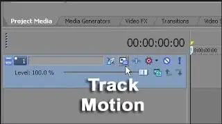 How to find track motion icon in Sony Vegas