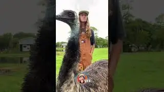 Привет, это Эммануэль! Часть 2 &mdash; комедийная озвучка RxCKSTxR!