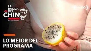 La Banda del Chino: Beneficios y propiedades de la Pitahaya (HOY)