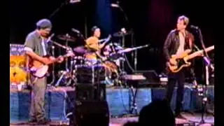The Cellarbirds 
