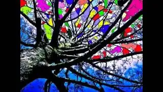 Dark Psytrance DJ TALA DVrec KRAD