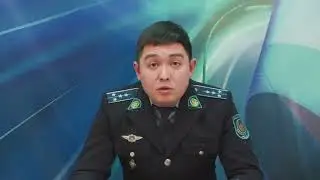 Ekibastuz News Internet fraud is on the rise