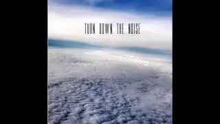 WINK DRISKY - Turn Down The Noise