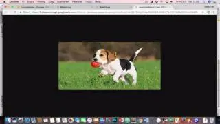 Upload images with Firebase