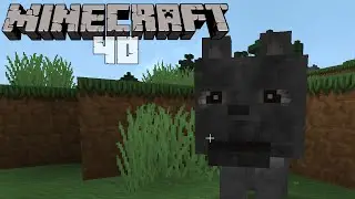 Lets Survive MINECRAFT ╣40╠ Expeditionsstart ✔ Let's Play Minecraft #40