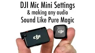 The DJI Mic Mini is great but process it through Adobe Podcast… Magic!
