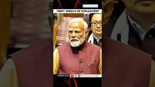 Sanjay Singh Fiery Speech in Parliament || The Political Leader #parliament #loksabha