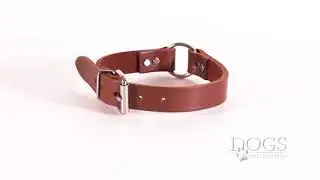 NBS Leather Dog Collar, Center Ring, 1