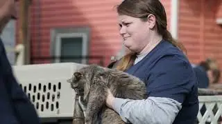 Animal Rescue Corps Operation Better Days