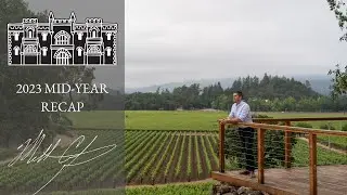 2023 Mid-Year Recap