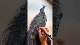 Most hyper realistic peacock drawing 🎨 please like and subscribe🙏#hyperrealisticdrawing#shorts