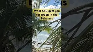 What $40 bucks will get you in the Bahamas for the green.#bahamas  #travel  #thegreen #420  #hustle