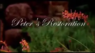 Peter's Restoration video