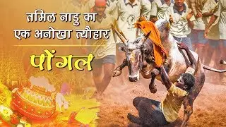 Pongal | तमिल नाडु का एक अनोखा त्यौहार | Festival Of Tamilnadu | India