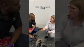Only 80 of these dogs in the UK!