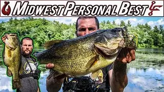 Frog Fishing KVD Sexy Frog Gets My Midwest PB (GIANT BASS with NO SCALE)