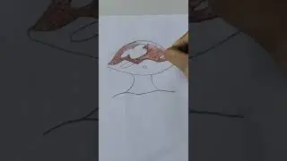 Mashroom drawing | Step by step  drawing of mashroom | Sanchika Art.