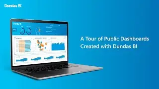 A Tour of Public Dashboards Created with Dundas BI