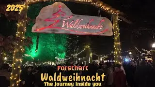 Forsthart, Bavaria – Enchanted Forest Christmas Market | Glowing Lights & Magical Night Atmosphere