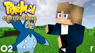 Minecraft Pixelmon | What Pok&eacute;mon Would Hold Sheep Captive?!?