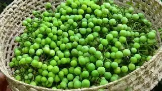 Village Foods Yummy 😋 Turkey Berry Coconut Recipe by my Mom | Village Cooking Rewind |